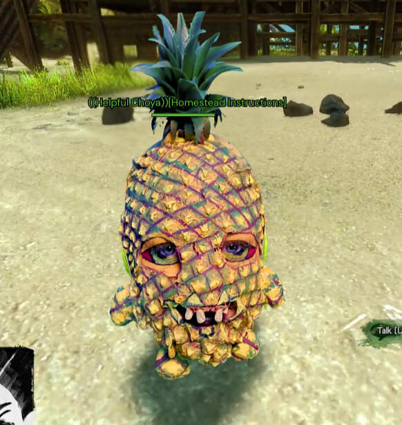 Pineapple Choya